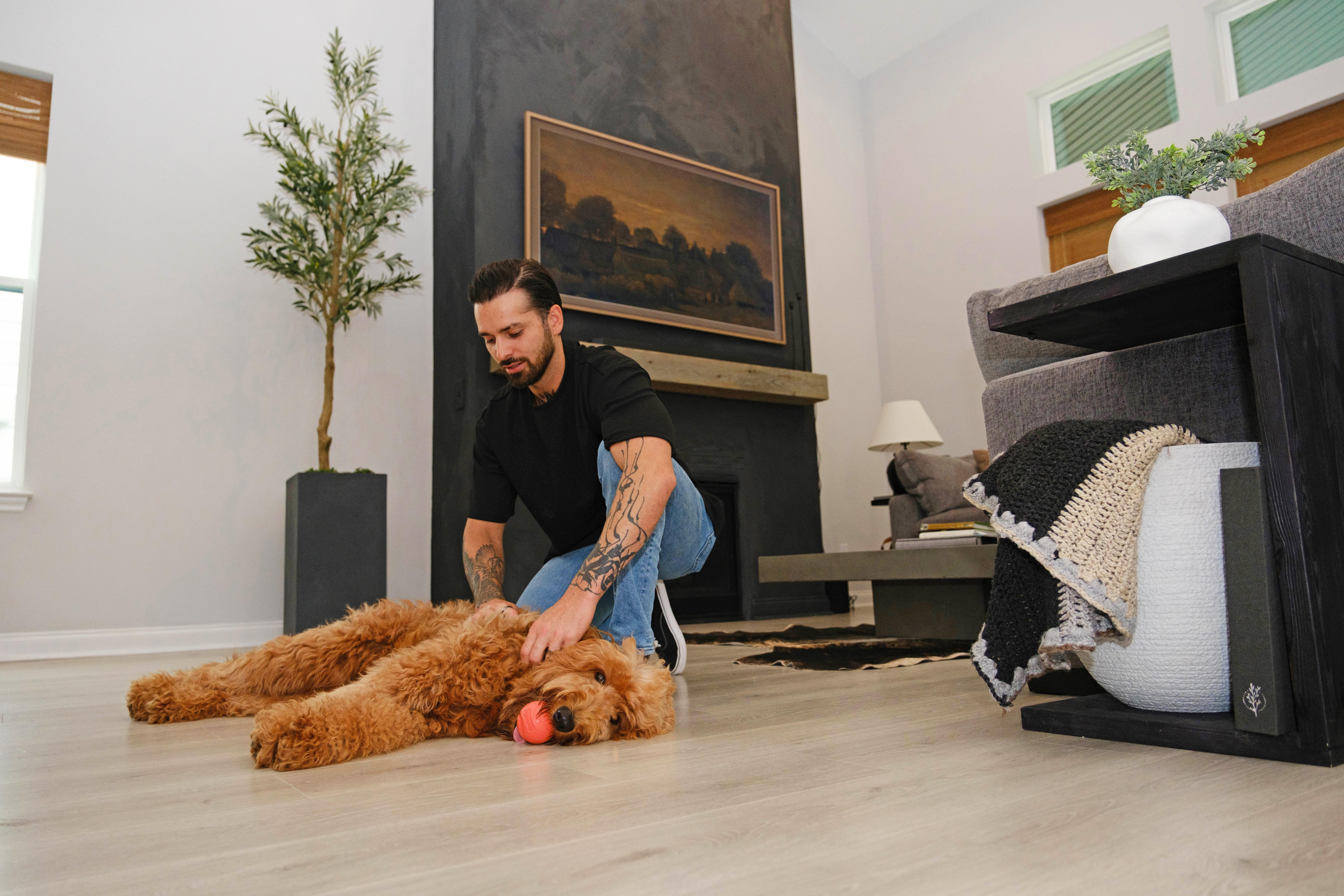 Furry friend relaxes in new Drees home